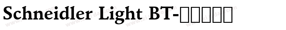 Schneidler Light BT字体转换